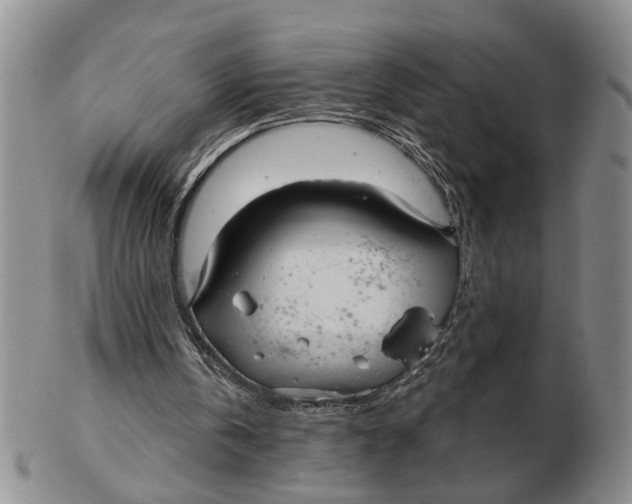 X0000102790146200809081057