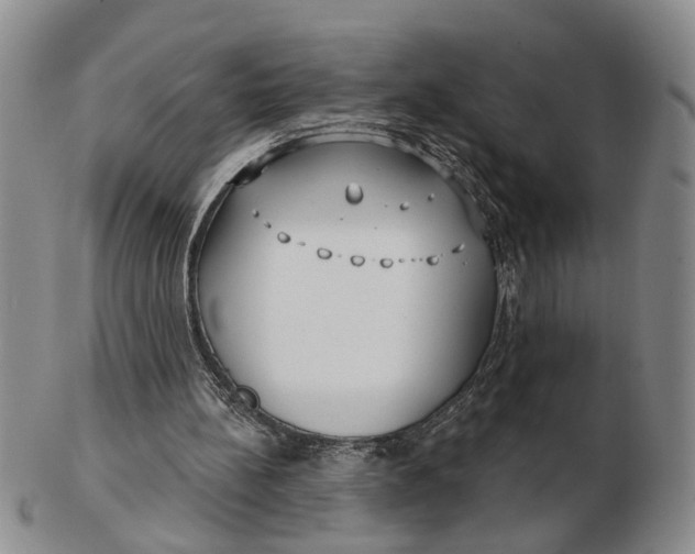 X0000102790148200809081057