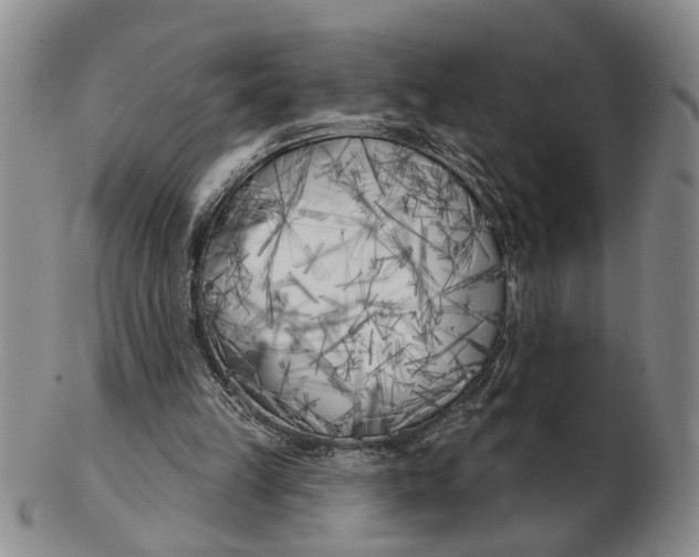 X0000102790149200809081057