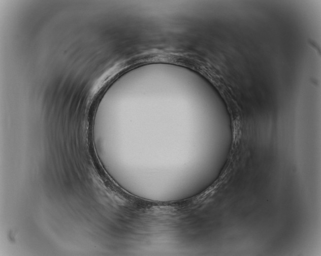 X0000102790150200809081057