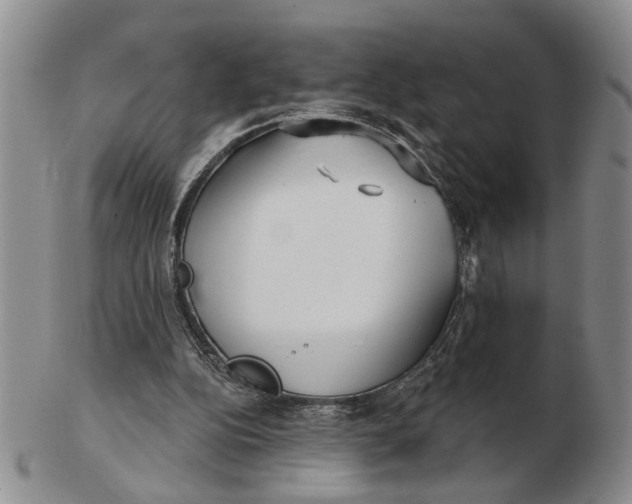 X0000102790152200809081057