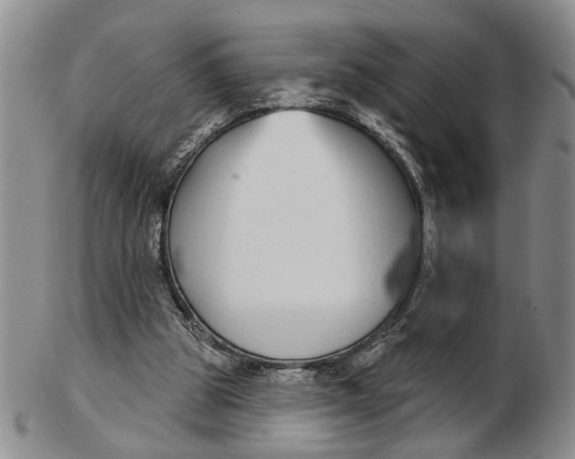 X0000102790153200809081057