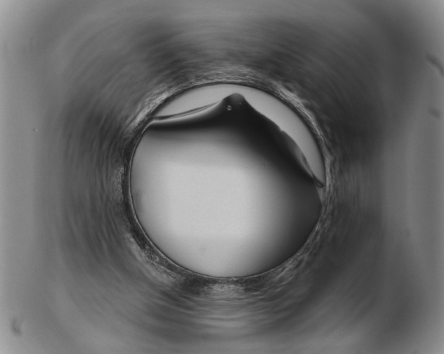 X0000102790154200809081057