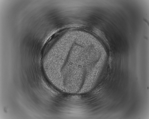 X0000102790156200809081057