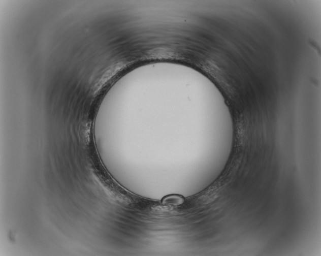 X0000102790160200809081057