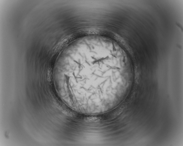 X0000102790161200809081057