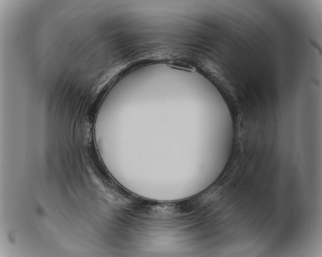 X0000102790164200809081058