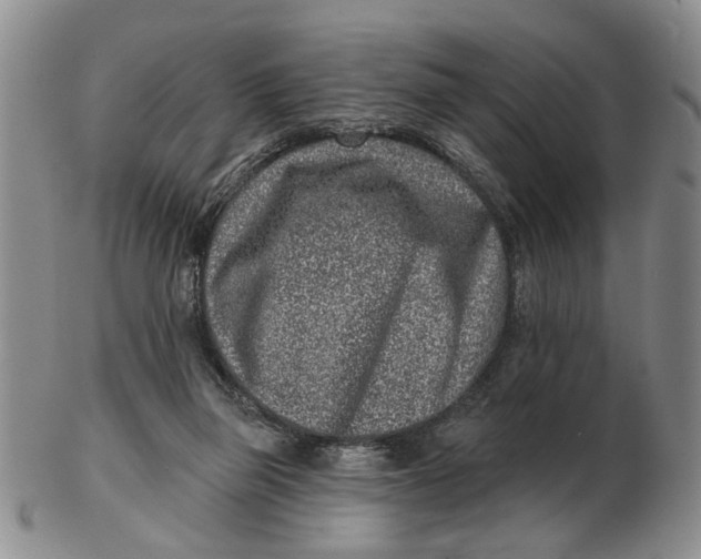 X0000102790165200809081058