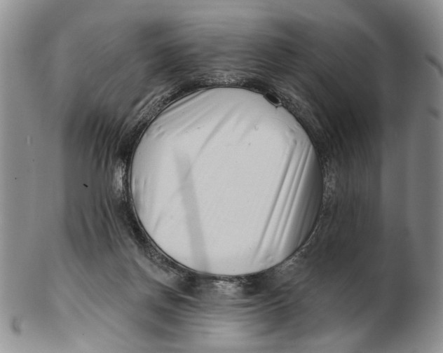 X0000102790166200809081058