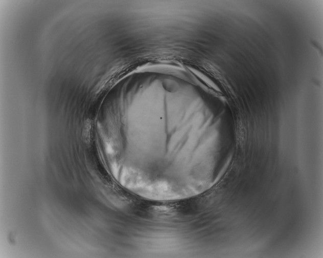 X0000102790167200809081058