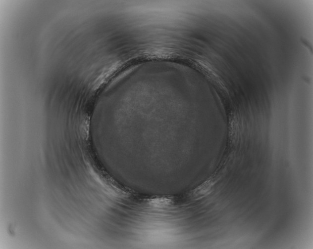 X0000102790168200809081058