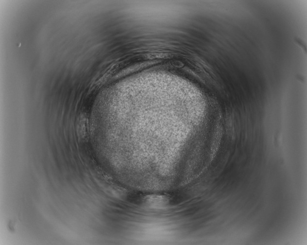 X0000102790169200809081058