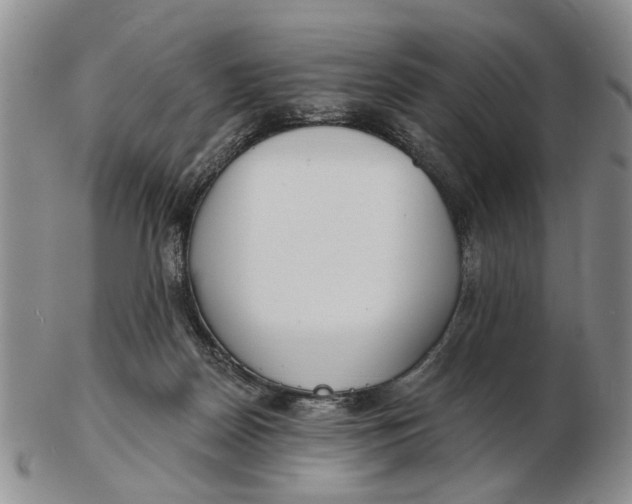 X0000102790170200809081058