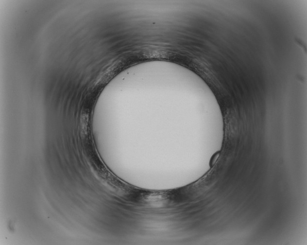 X0000102790171200809081058