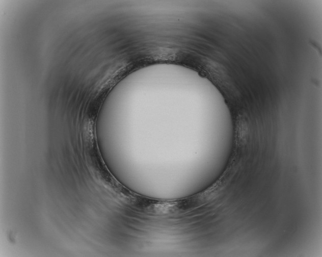 X0000102790172200809081058