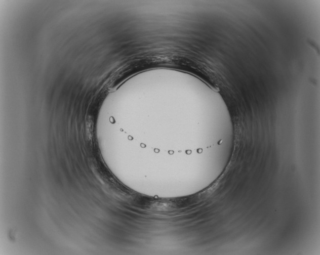 X0000102790174200809081058