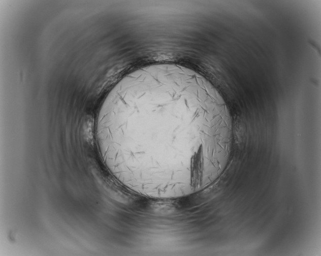 X0000102790175200809081058