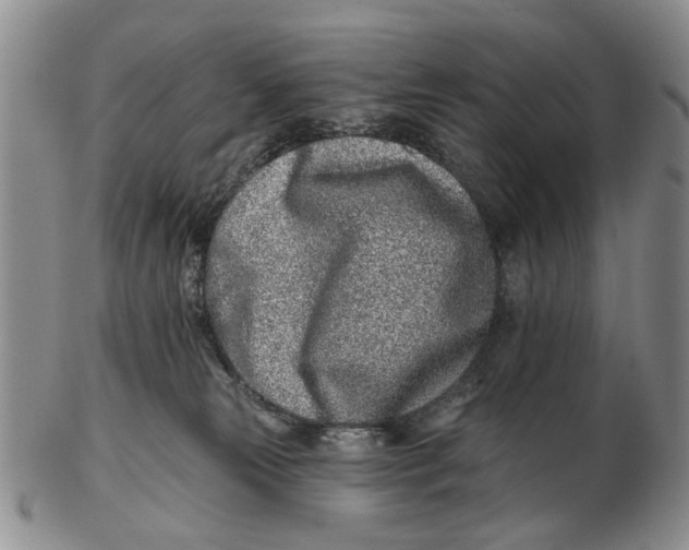 X0000102790181200809081058