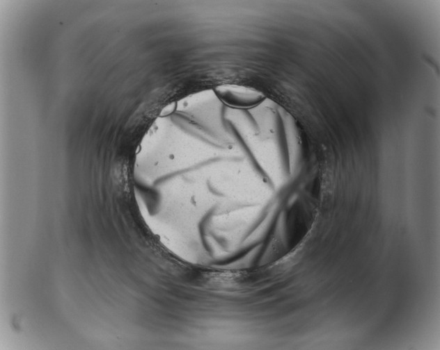 X0000102790182200809081058