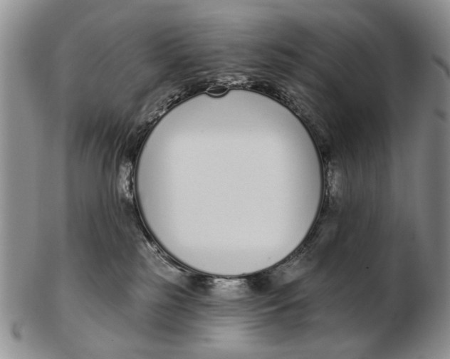 X0000102790185200809081058