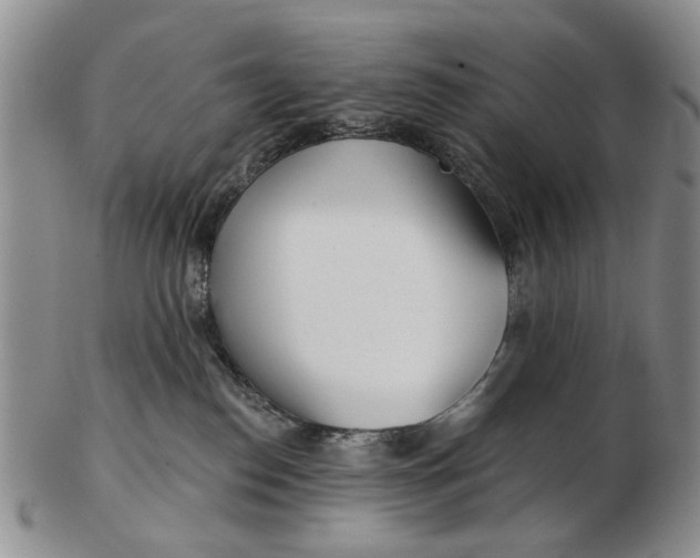 X0000102790186200809081058