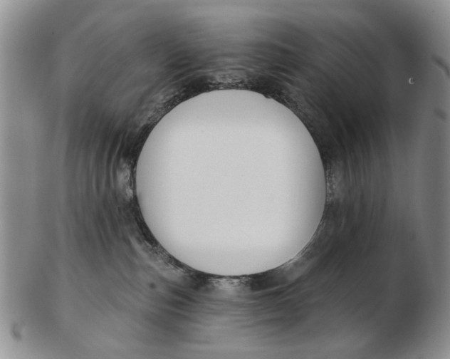 X0000102790187200809081058