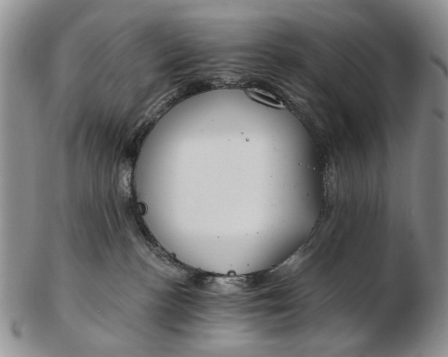 X0000102790188200809081058