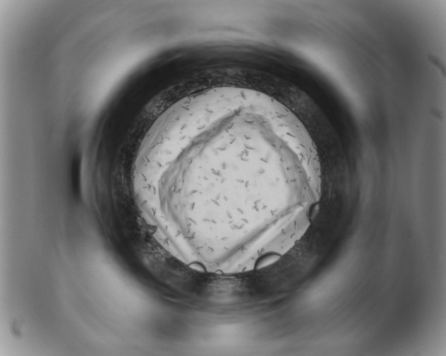 X0000102790189200809081058