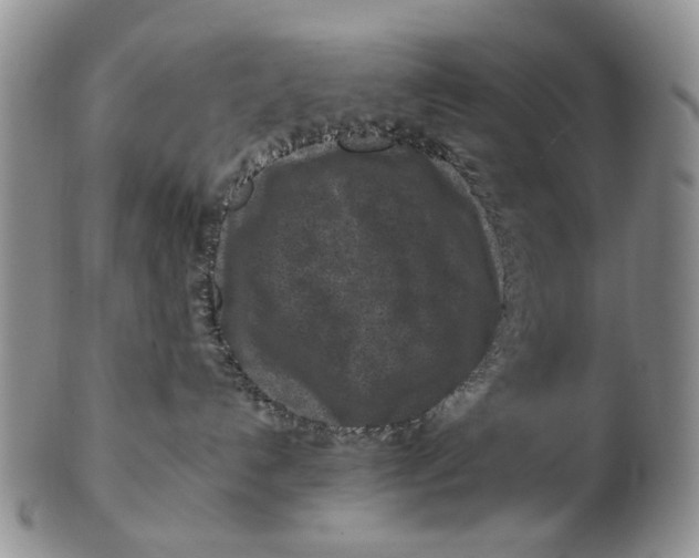 X0000102790192200809081058