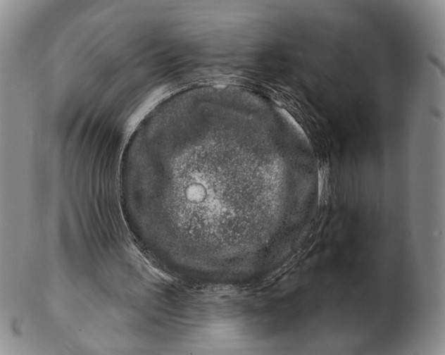 X0000102790195200809081057