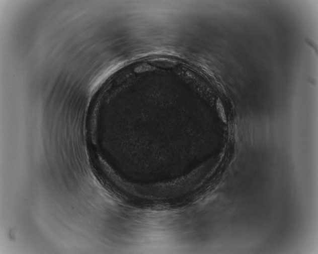 X0000102790196200809081057