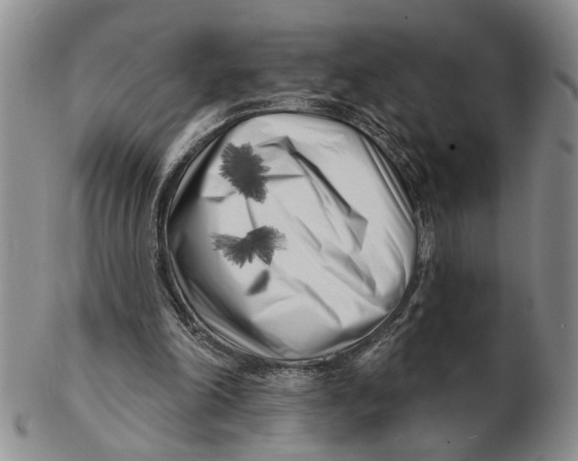 X0000102790198200809081057