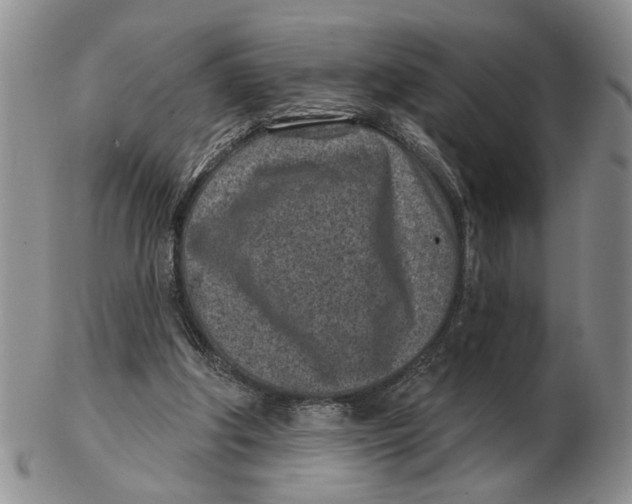 X0000102790202200809081057