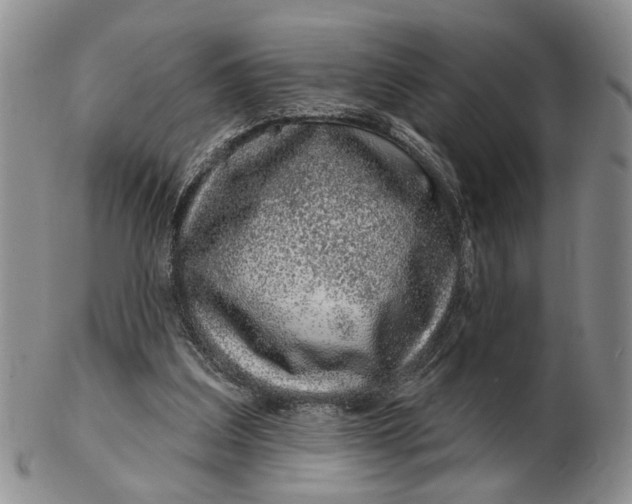 X0000102790203200809081057