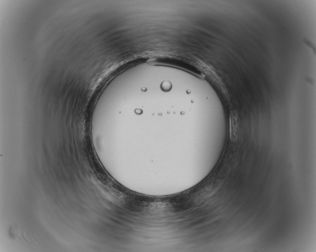 X0000102790204200809081057