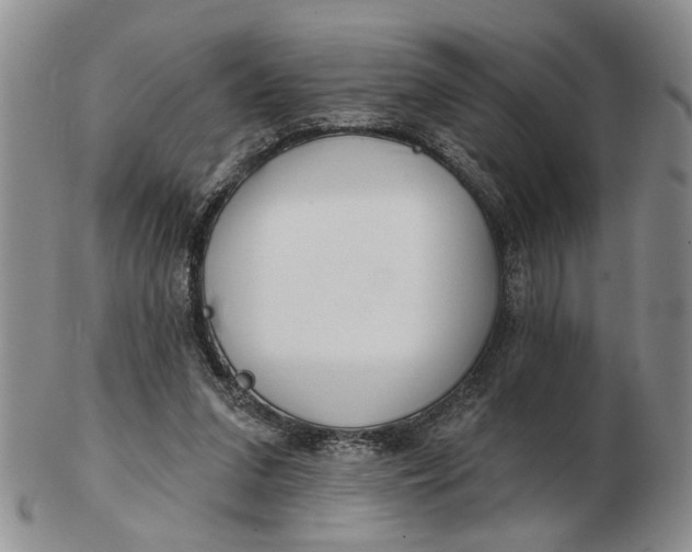 X0000102790207200809081057