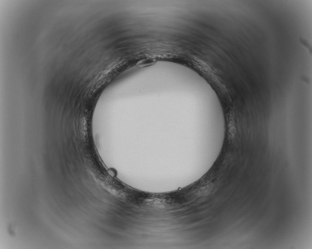 X0000102790211200809081057