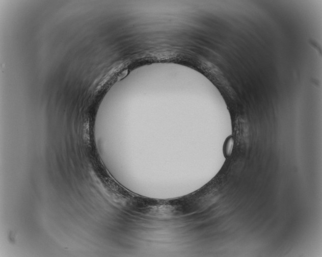 X0000102790212200809081057