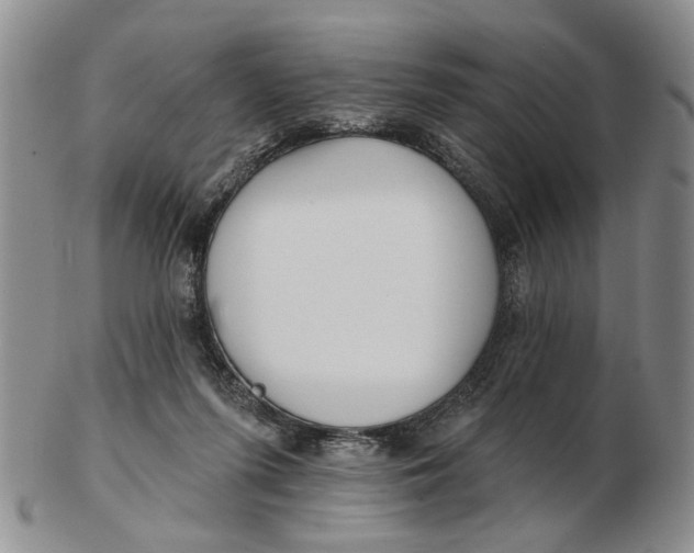 X0000102790215200809081057