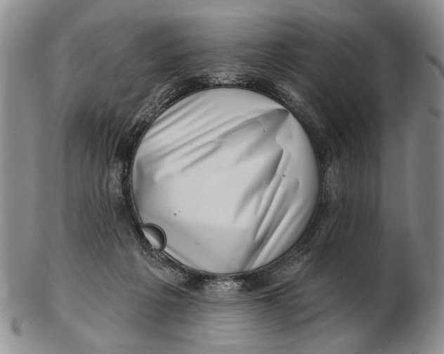 X0000102790217200809081057