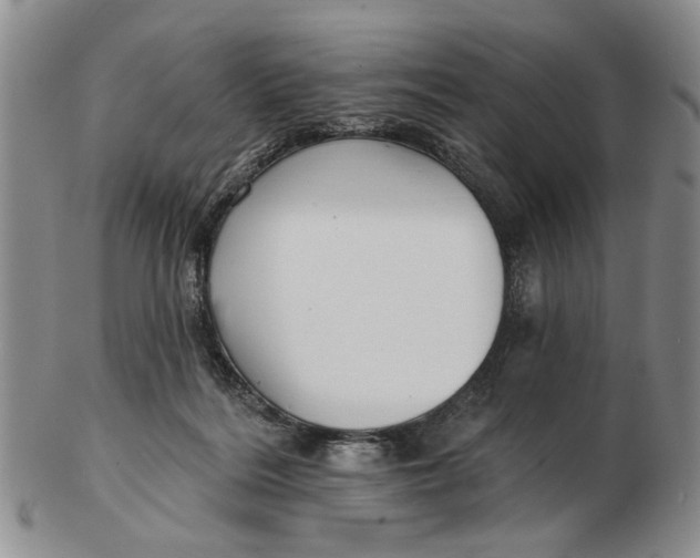 X0000102790220200809081057