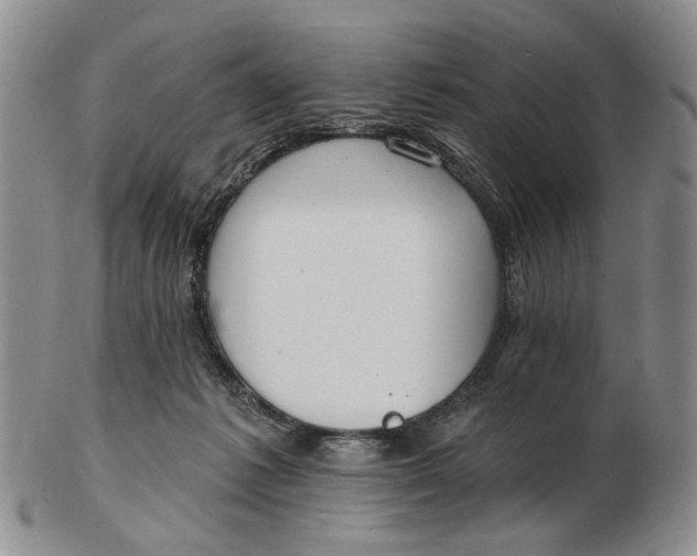 X0000102790221200809081057