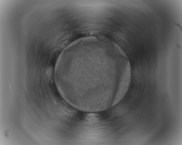 X0000102790222200809081057