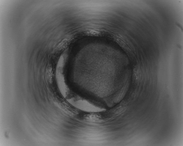 X0000102790223200809081057