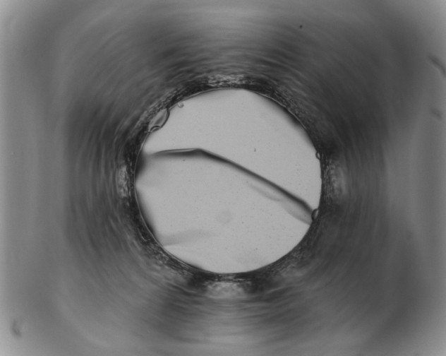 X0000102790224200809081057