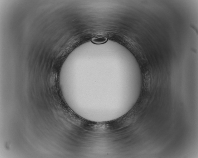 X0000102790225200809081057