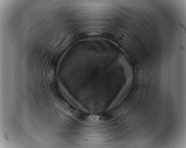 X0000102790227200809081057