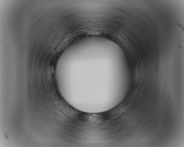 X0000102790229200809081057