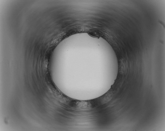 X0000102790230200809081057