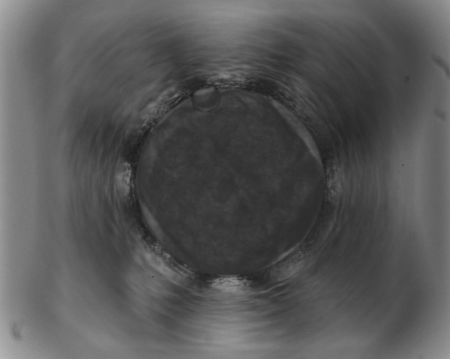 X0000102790231200809081057